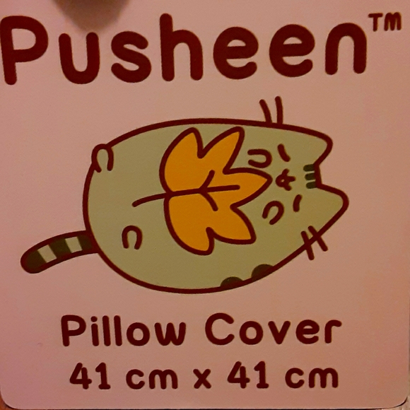 Pusheen Box - Picture 4 of 4